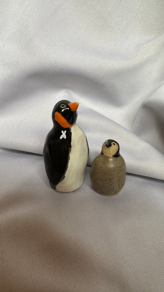 Penguin pair