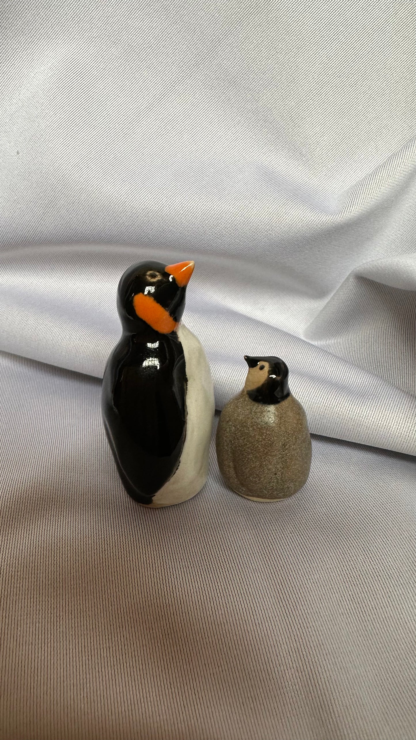 Penguin pair